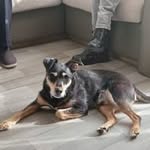 Clive Elliott - @clive32515 - Instagram