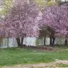 cliveelliott151 - @cliveelliott151 - TikTok