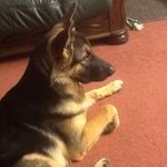 Clive Foster - @clivefoster52 - Instagram
