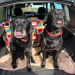 Clive Hall - @cliveandjean46 - Instagram