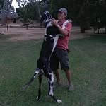 Clive Hall - @clive1344 - Instagram