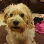 Clive James Fretter - @clivejamesfretter - Instagram