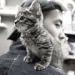 Clive Law - @justanotherclaw - Instagram