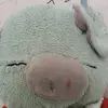 Clive Law - @clive.law - TikTok