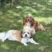 Clive Martin - Facebook