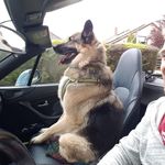 Clive Milton - @clive.milton.3 - Instagram