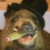 Clive Moore - Facebook