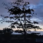 Clive Moore - @1clvmoore - Instagram