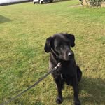 Clive Parker - @cliveparker2 - Instagram