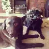 Clive Phillips - @clive.phillips88 - TikTok
