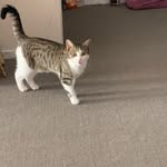 Clive Phillips - @clive.phillips.31586 - Instagram