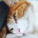 Clive Randall - @clive.randall.754 - Instagram