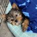 Clive Webber - Facebook