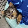 Clive Webber - @clive.webber - TikTok