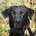 Clive Wright - Facebook