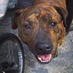 Clive Wright - @clive.wright30 - Instagram