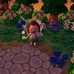 animal crossing✧*ೃ༄ - @clovercrossingsss - Instagram