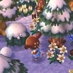 Animal Crossing New Leaf 🌷 - @clovercrosser - Instagram