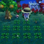Moved To @clovercrossing - @clovercrossingggg - Instagram