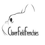 Clover Field Frenchies 🍀 - @cloverfieldfrenchies - Instagram