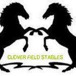 🏇clover_field_stables🏇 - @clover_field_stables - Instagram