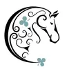 Cloverfield Sport Horses - @cloverfieldsporthorses - TikTok