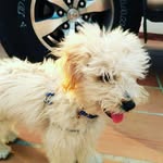 clover misse martinez - @klover.alexis - Instagram