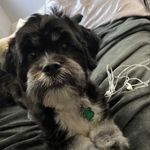 Clover Williams - @4_leef_clober - Instagram