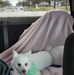 Clover Williams - Facebook