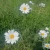 Aira - @clydeaira - TikTok