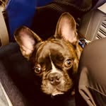 Clyde Alexander - @its_all_clyde - Instagram