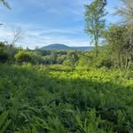 Clyde Anthony - @antho.ny4532 - Instagram