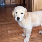 clyde augustus fincher - @clydeaugustusfincher - Instagram