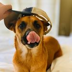 Clyde Baker - @clydethegoodest - Instagram