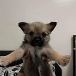@bogartclyde - Instagram