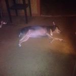 Clyde Brown - @brown.clyde - Instagram