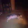 Clyde Brown - @clyde.brown8 - TikTok