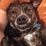Clyde Bush - @clyde_bush_ - Instagram
