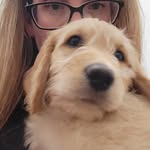 Carrie Clyde - @clydecarrie - Instagram