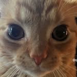 @clyde_carroljr - Instagram