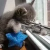 Clyde Chen - @30979932465 - TikTok