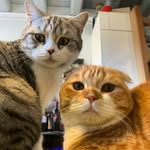 Claire & clyde - @clair_eclyde - Instagram