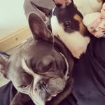 Claire Weston - @claire.les_bruce_clyde - Instagram