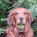 Clyde Eller - Facebook
