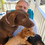 Clyde Elmore - @elmoreclyde - Instagram