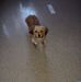 Clyde Epps - Facebook