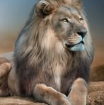 Claudia VanderWei - Facebook