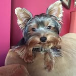 ClydeSchultz_ - @clyde_schultz - Instagram