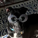 Clyde Estes - @me.llamo.clyde - Instagram