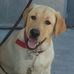 Clyde Gracia Oh Farley - Facebook